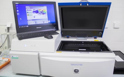 Laser Scanner Imaging System